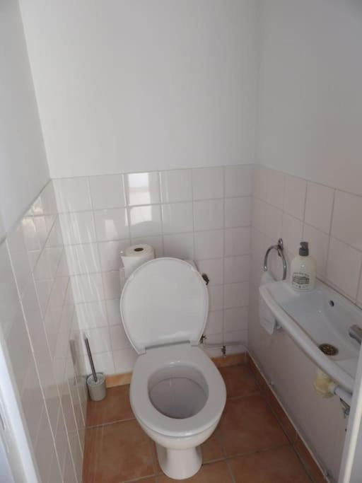 Cosy House Au Coeur Des Landes Villa Villeneuve-de-Marsan Екстериор снимка